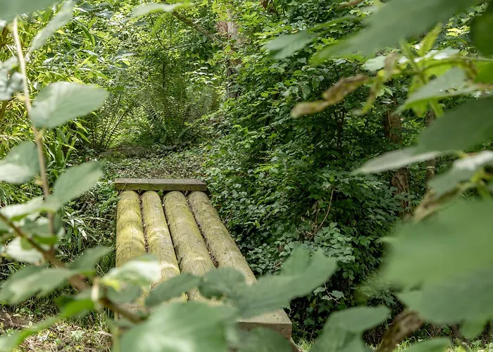 Chez Marguerite Et Bienaime *